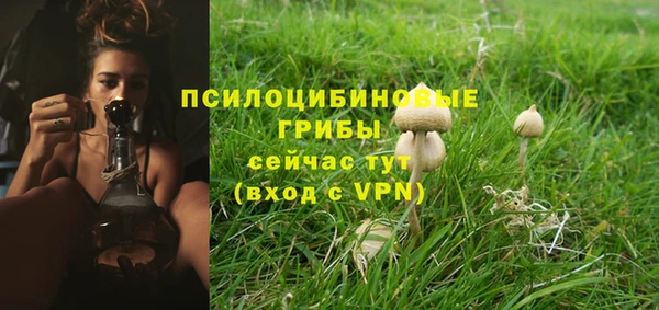 винт Абаза