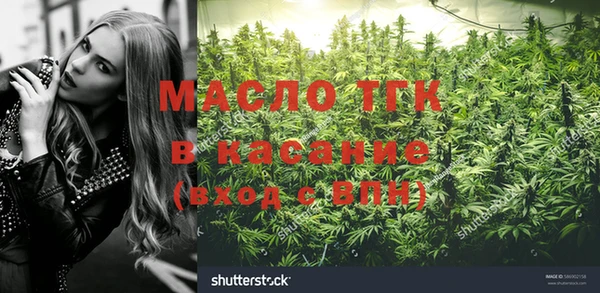 винт Абаза
